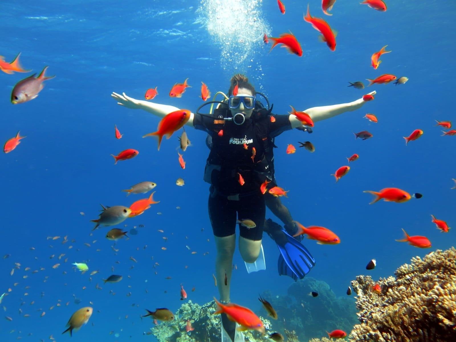16 Things to Do in Red Sea Governorate