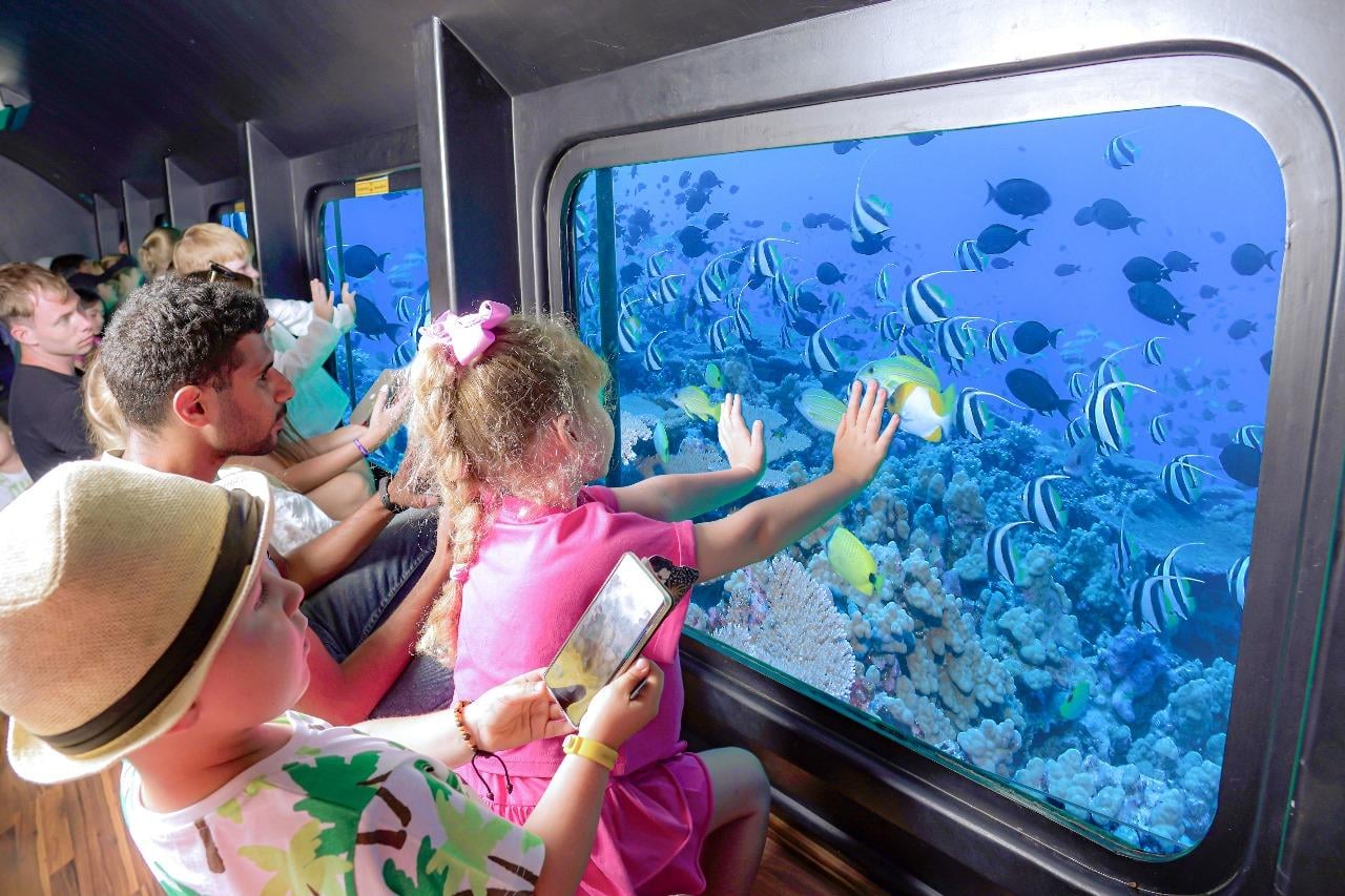 16 Things to Do in Red Sea Governorate